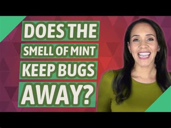 What pests does mint keep away