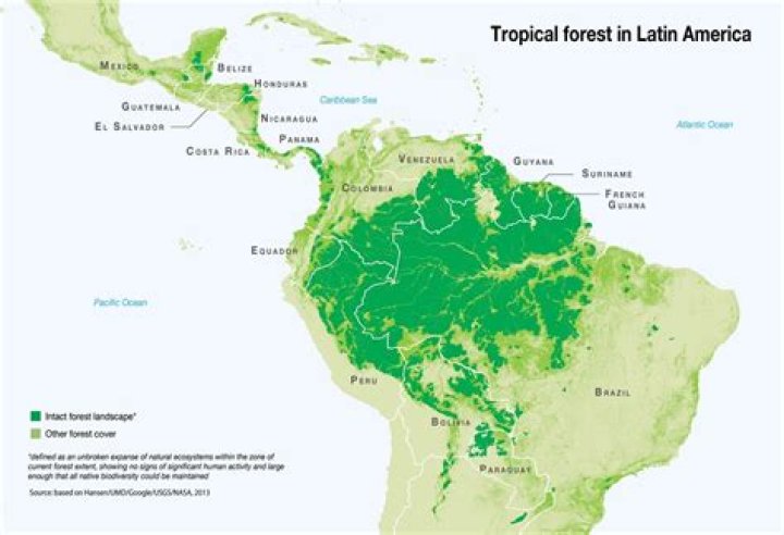 What rainforest is in Central America?