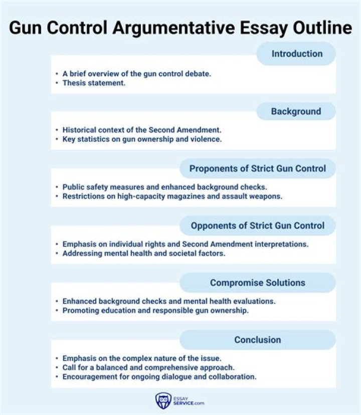 What should I write about in gun control essay?