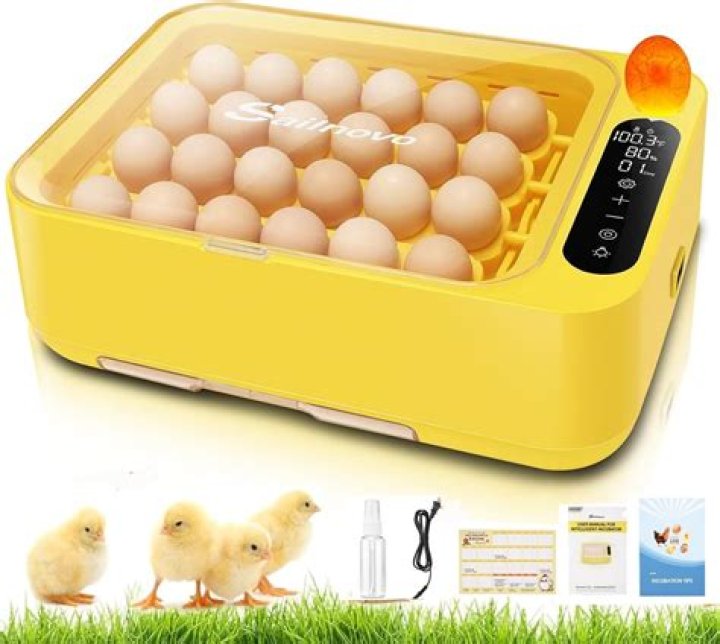 What should temperature be in incubator for chicken eggs?