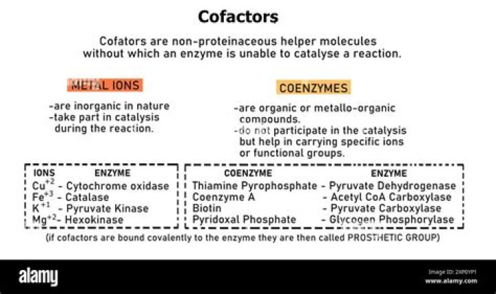 What substances are cofactors