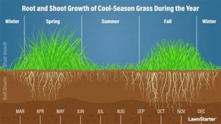 What temp does grass start to grow