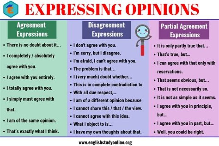 What the meaning of the expression of disagreement?