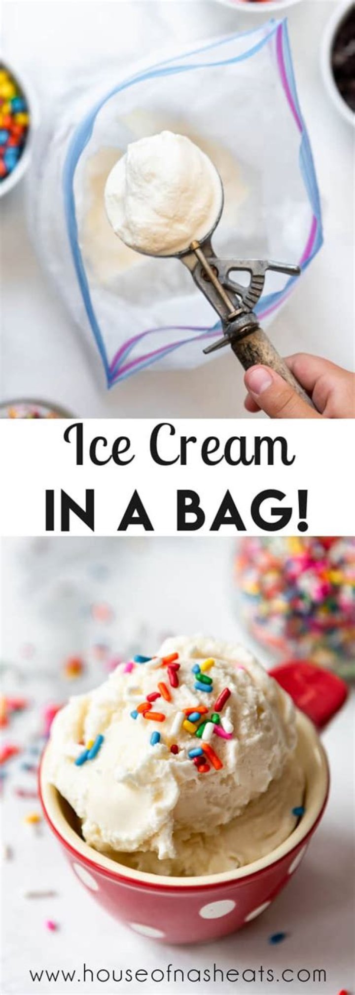 What to make with ice cream in a bag?