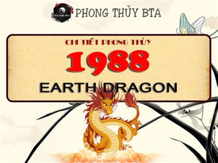 What type of Dragon is 1988?
