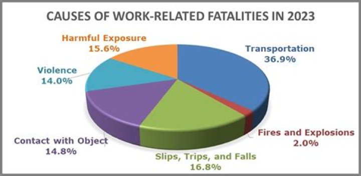 What type of incident was the leading cause of workplace fatalities in 2015?