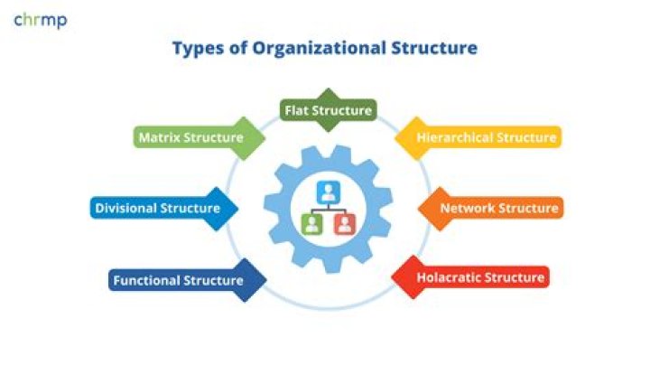 What type of organizational structure does Patagonia use