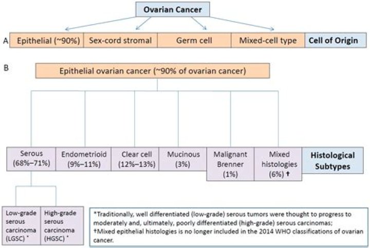What type of ovarian cancer is hereditary?