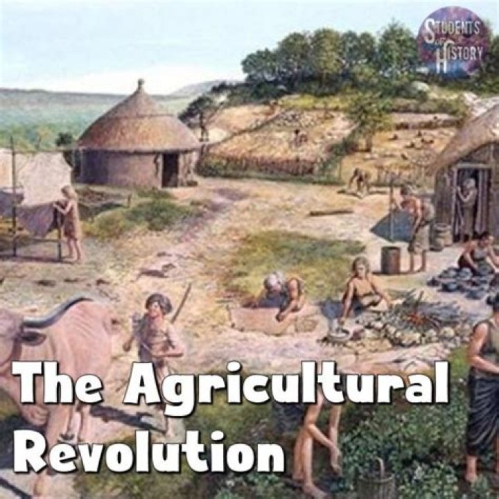 What was the 3rd agricultural revolution