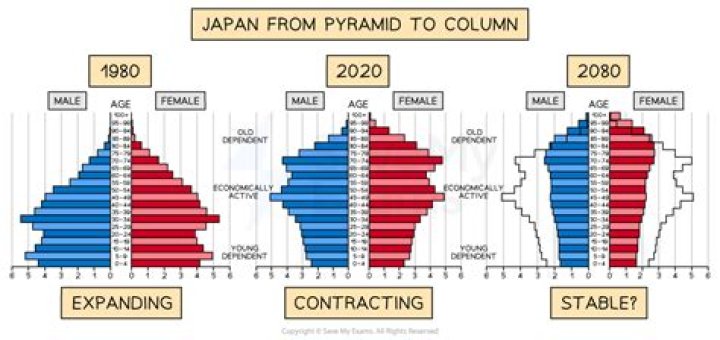 What was the population of ancient Japan?