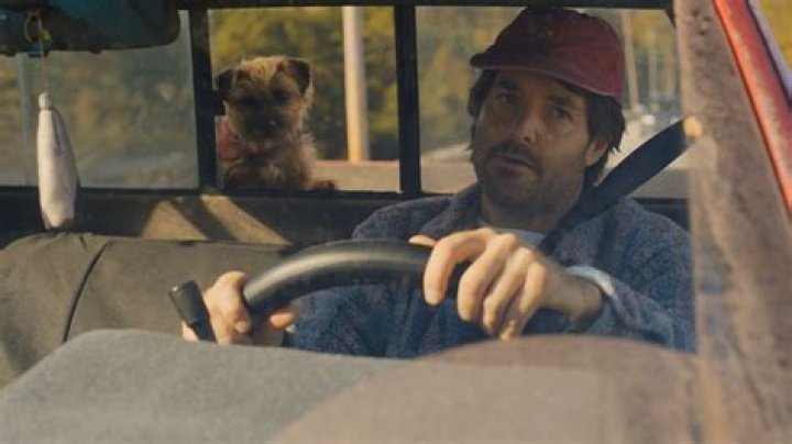 What was the Reggie bar?