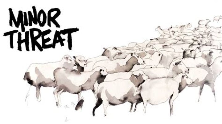 When did Minor Threat break up?