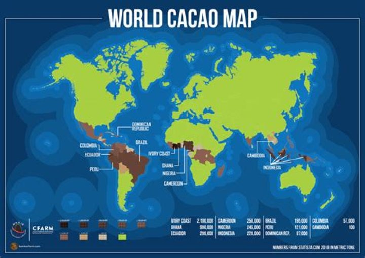 Where cacao trees are found?