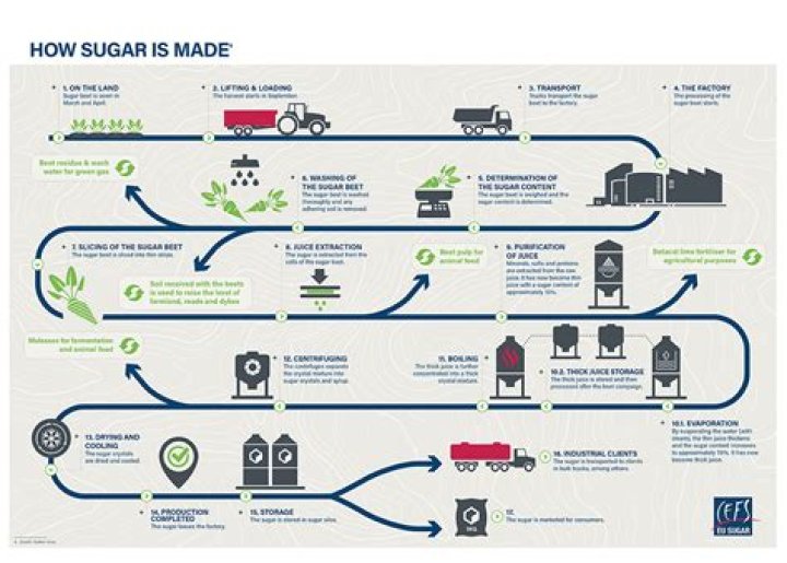 Where does sugar in candy come from?
