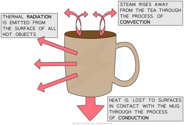 Where does the heat go as the hot chocolate cools down?