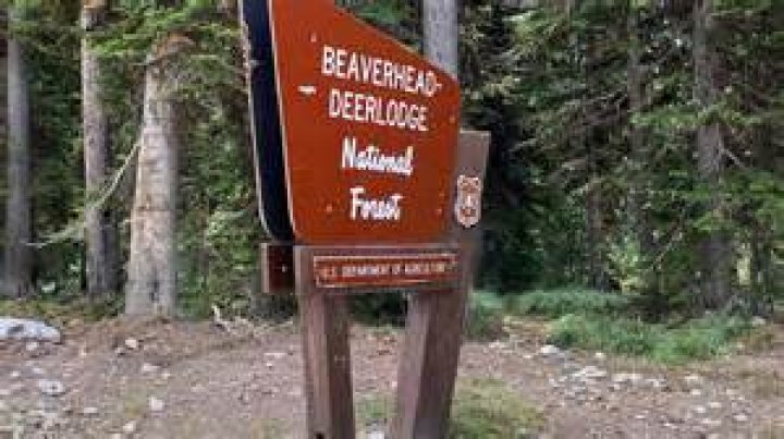 Where is the Beaverhead Deerlodge National Forest?