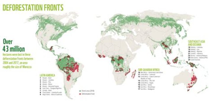 Where is the most deforestation in the US?