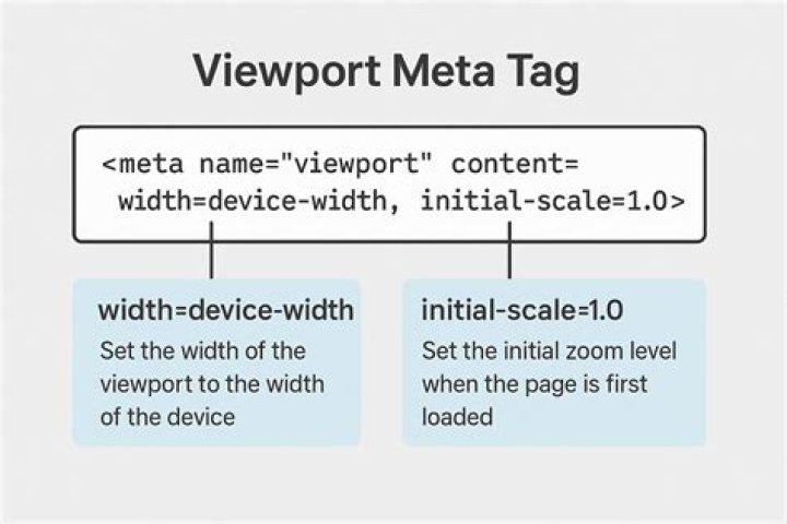 Where is viewport meta tag?