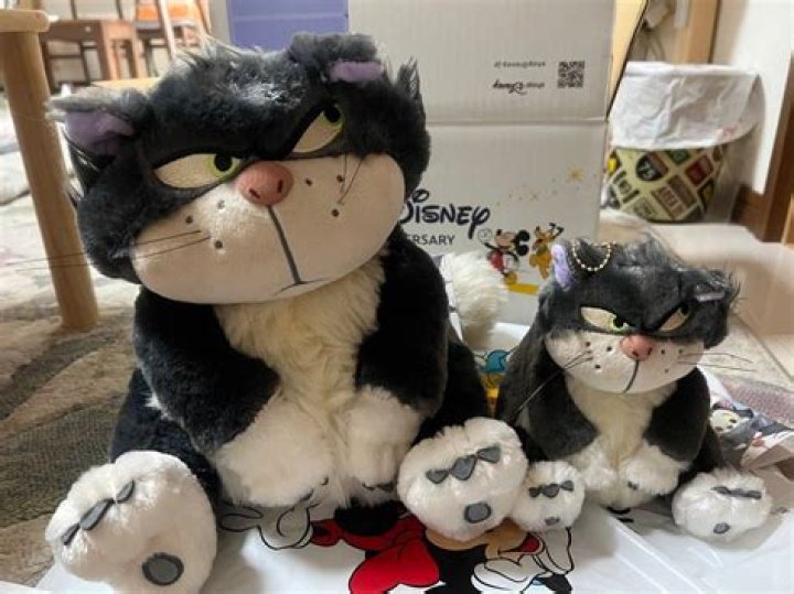 Where should I put my stuffed animals