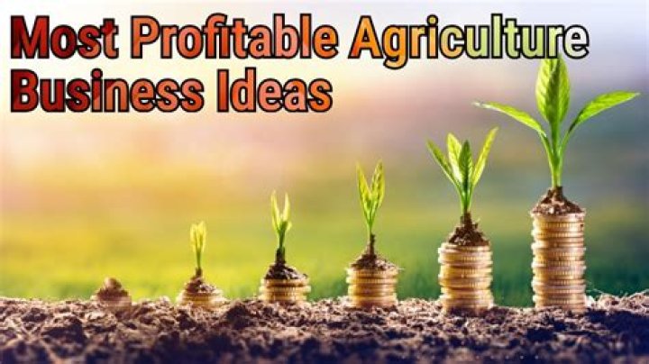 Which agriculture business is most profitable?