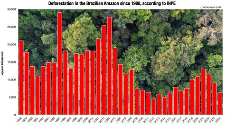 Which country in Asia has the most deforestation?