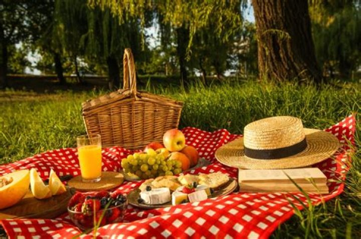 Which is the best place for picnic near me?