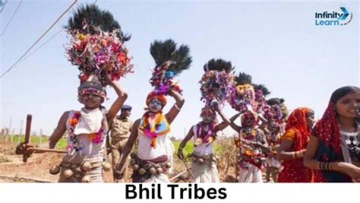 Which is the biggest tribe of Naga?