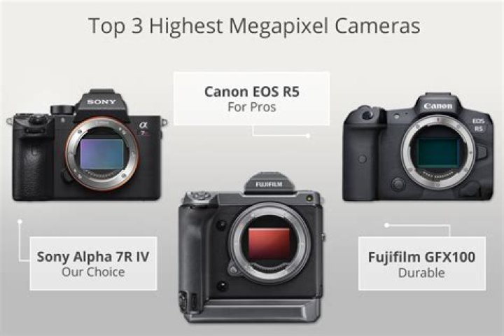 Which Nikon has the highest megapixel?