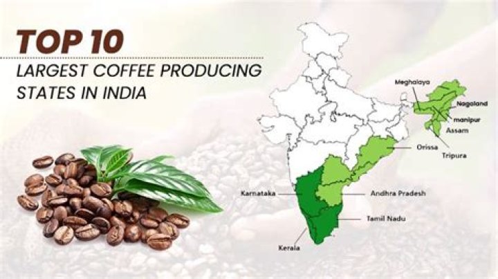 Which place of Karnataka is know as birth place of coffee in India