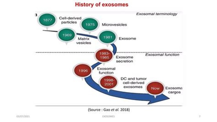 Who coined the term readymade