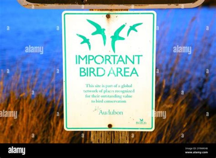 WHO declares important bird area?