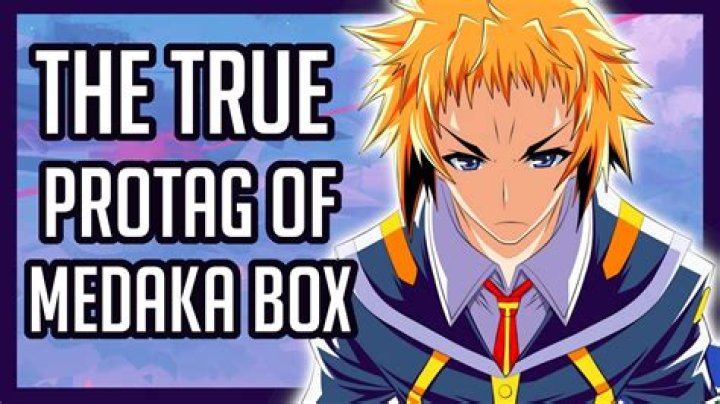 Who does Medaka end up with in Medaka Box?