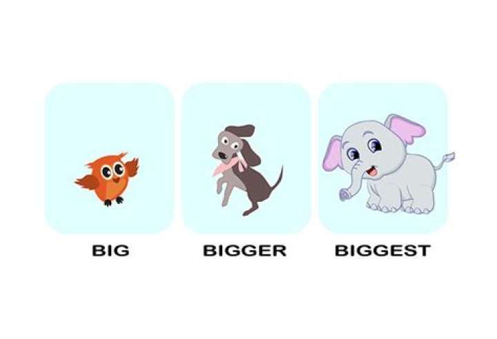 Who is bigger CP or CN?