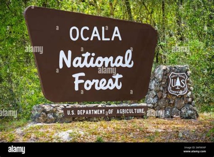 Who lives in Ocala National Forest?