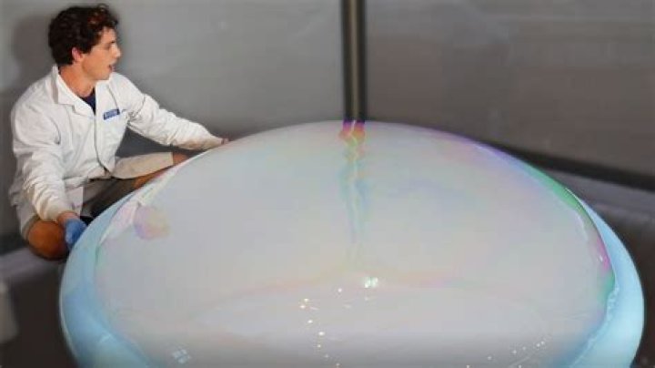 Who made the largest bubble in the world?