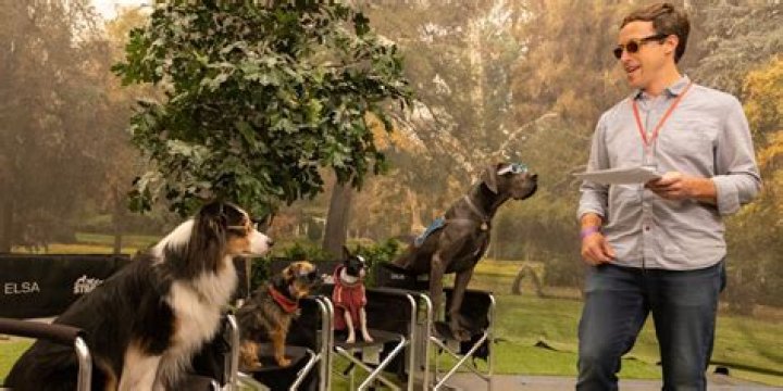 Who made the movie dog eat dog?