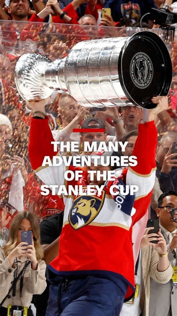 Who won the Stanley Cup in the 2014 2015 season?