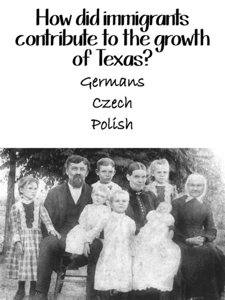 Why did Polish immigrants settle in Texas?