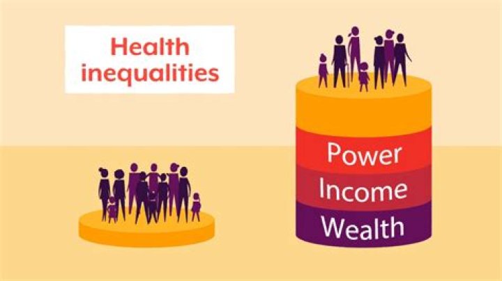 Why do Maori have health inequalities?
