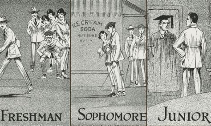 Why do they call sophomores sophomores?
