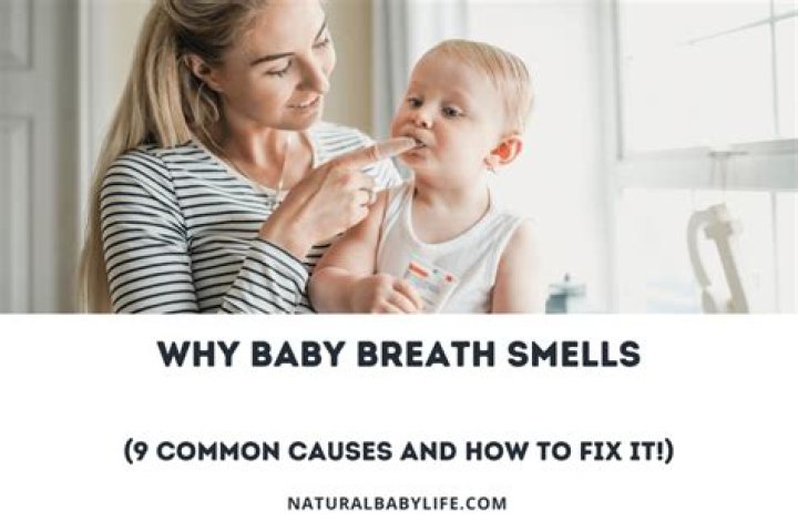 Why does my toddlers gas smell so bad?