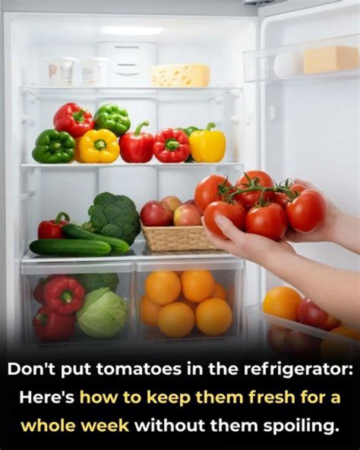 Why is it bad to put tomatoes in the fridge?