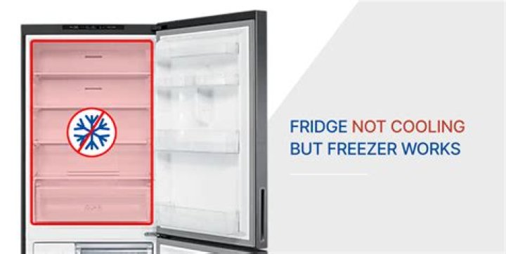 Why is my Maytag fridge freezer not working?