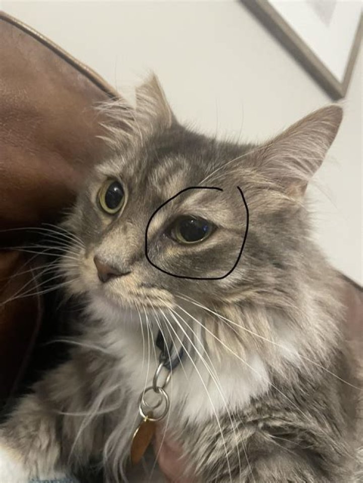 Why is one of my rooms hotter