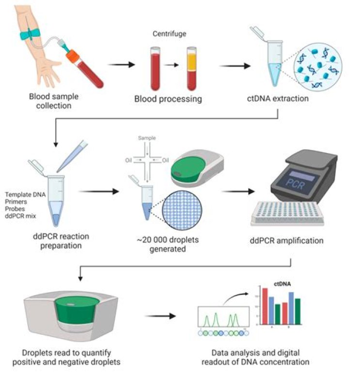 Why is PCR often critical in forensics