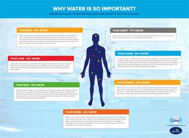 Why is water important 5 Reasons?