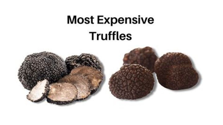 Why truffles are so expensive?