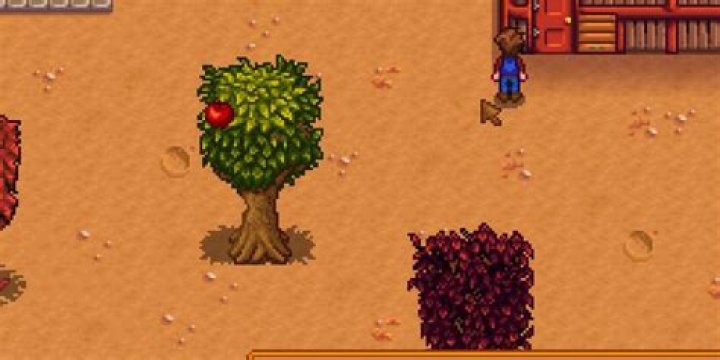 Will ants harm apple trees?