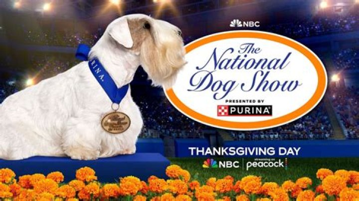 Will there be a dog show on Thanksgiving?